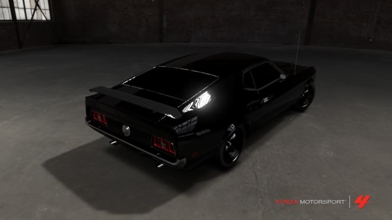 mustang4.jpg