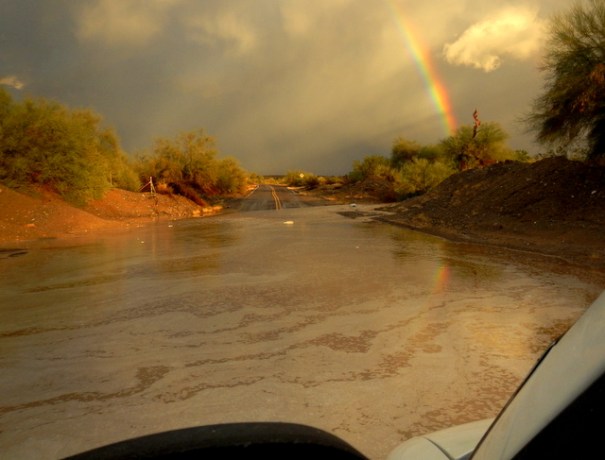 flood-lake.jpg