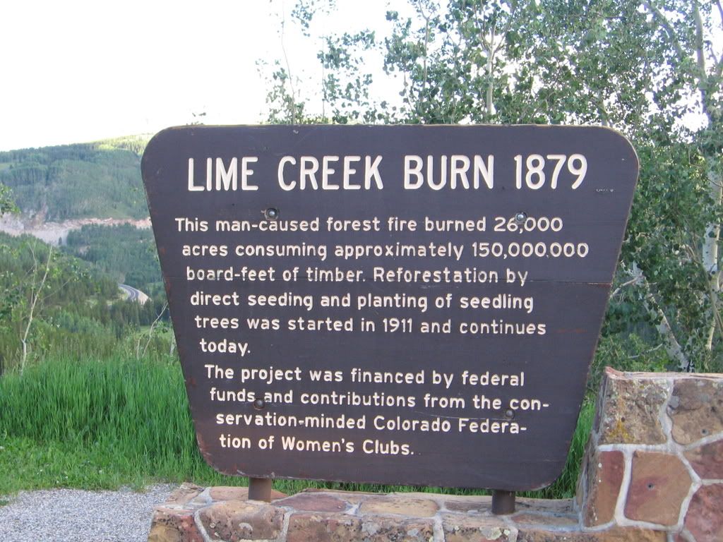 Z47-LimeCreekBurn.jpg