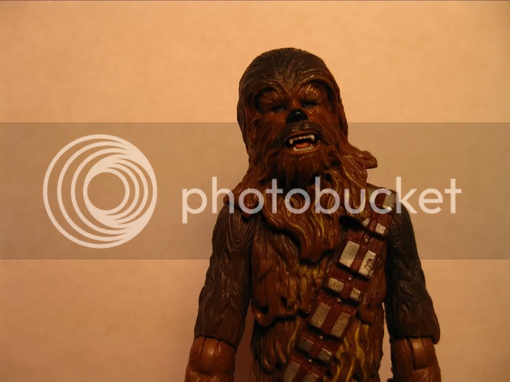 Chewbacca3.jpg