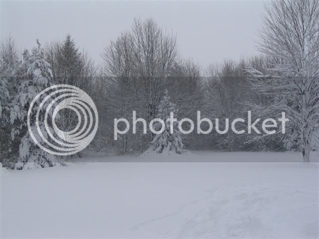 Snow1-1-08001Small.jpg