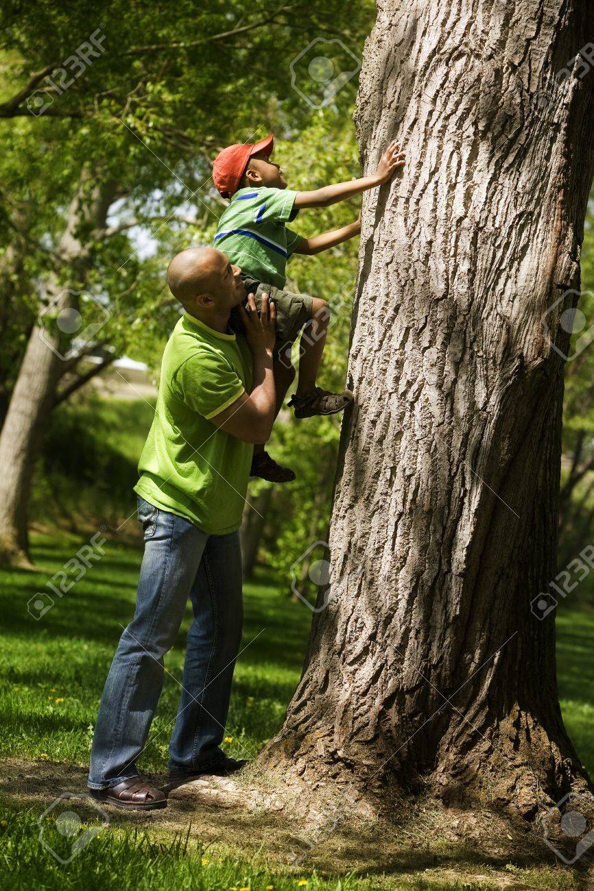 7559553-Father-helping-son-to-climb-on-tree-Stock-Photo.jpg