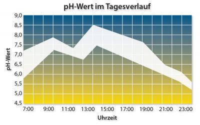 Urin-pH-Messung: pH-Wert im Tagesverlauf