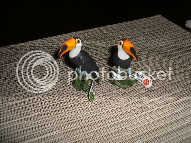 oct3108schleichtoucans640x480.jpg