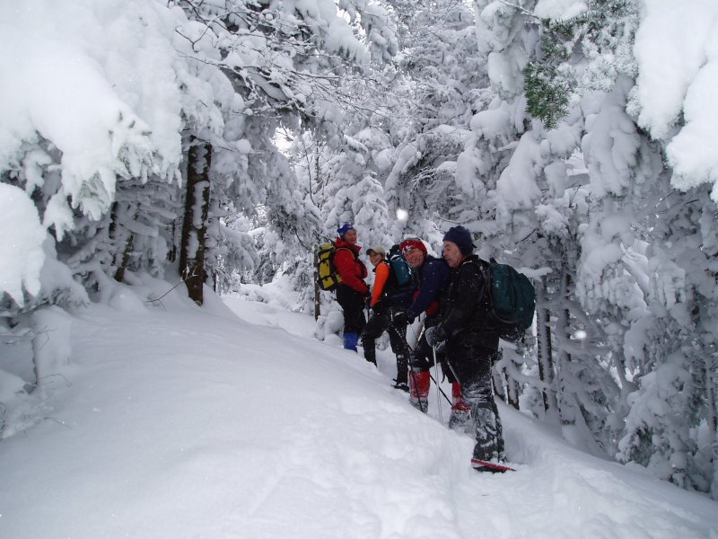 the gang up high on wright-800.jpg