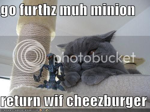 funny-pictures-cat-sends-minion-for.jpg