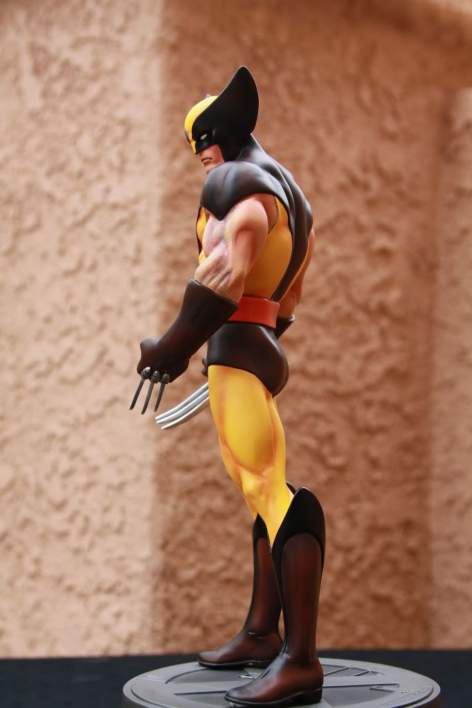 Wolverine6.jpg