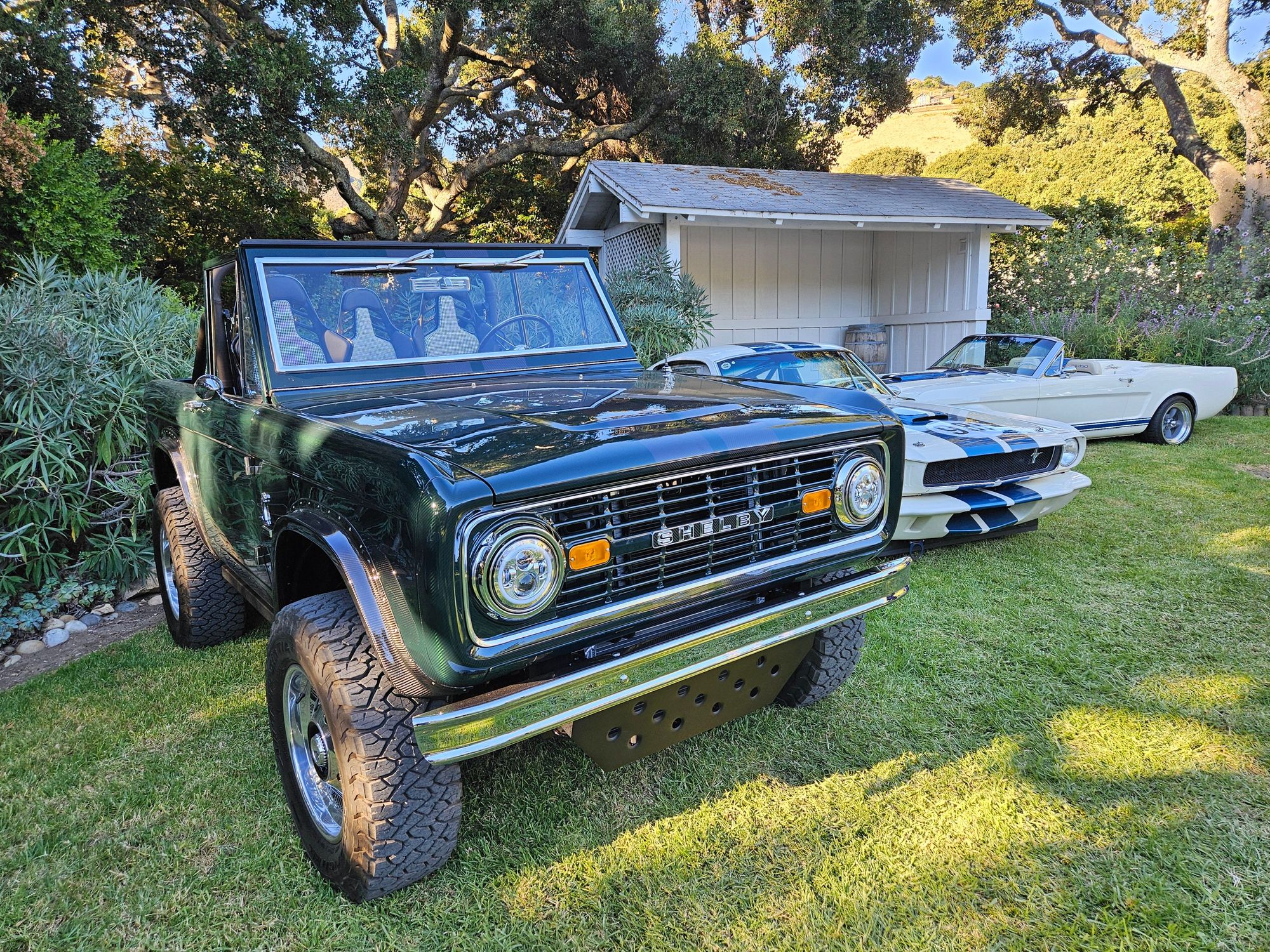 80-bronco1_730c5570e47c14939019c7e7ab111d9f729a90b7.jpg