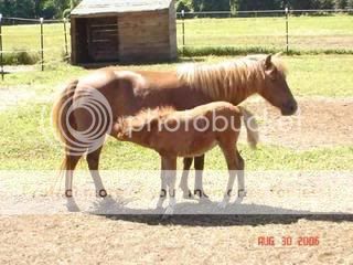 REBA-AND-TESSA.jpg