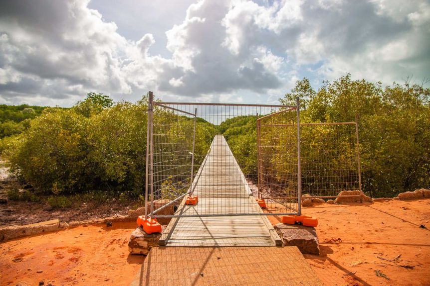 A metal fence around a wooden jetty stretching into a mangrove swamp.