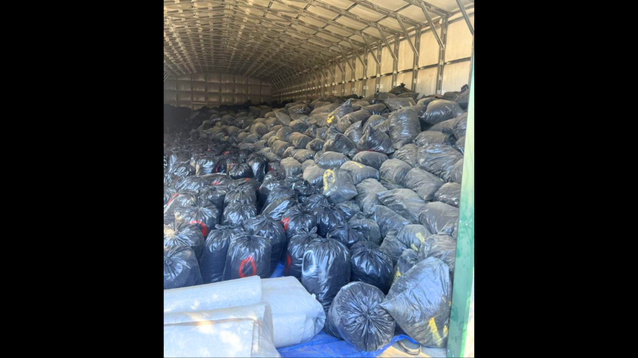 Deputies discovered over $100 million worth of marijuana at an Oak Hills property during an investigation into illegal marijuana cultivation on Dec. 9, 2024. (San Bernardino County Sheriff’s Department)