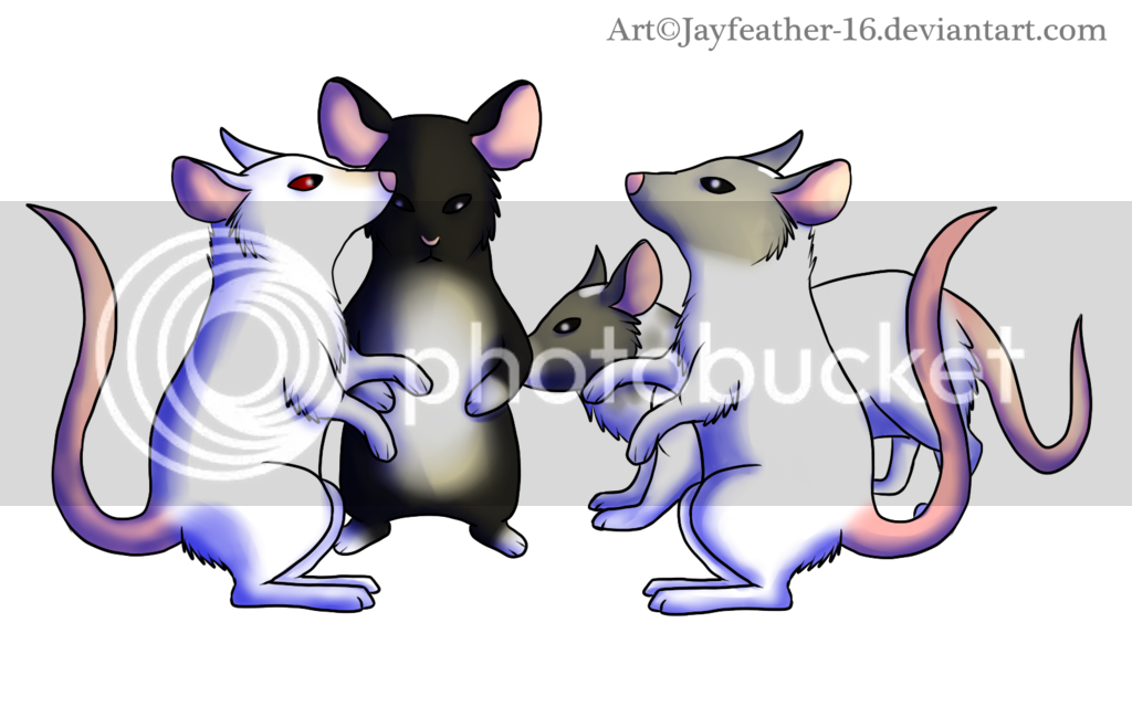 rat_party__by_jayfeather_16-d8xdx7u.png