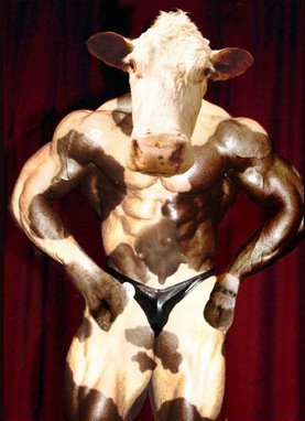 Beefed-Up-Cow--14239.jpg=s0