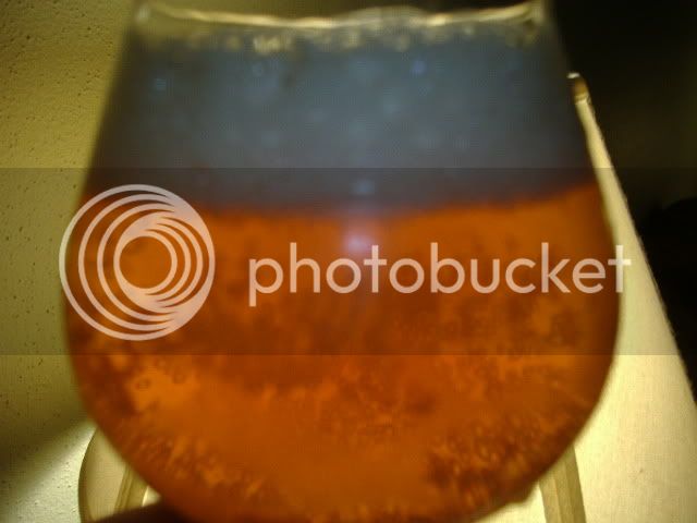 Beer-2.jpg