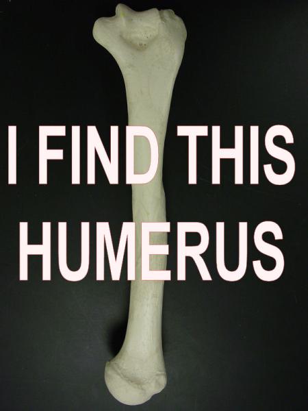 i-find-this-humerus1.jpg