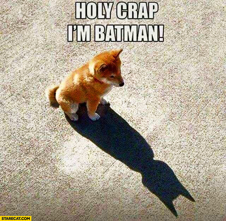 holy-crap-im-batman-dog.jpg