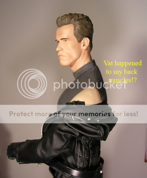 t800noback.jpg