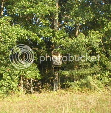 DeerStand3.jpg