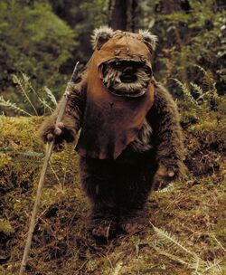 250px-Wicket_rotj.jpg