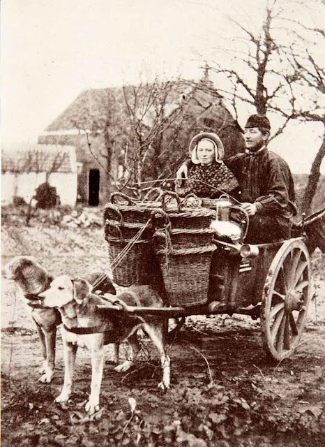 vintage-dog-carts-milk-women-belgium-3.jpg