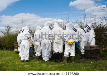stock-photo-group-of-beekeepers-on-beekeeping-course-at-an-apiary-examining-hives-in-summer-on-a-sunny-day-141149260.jpg
