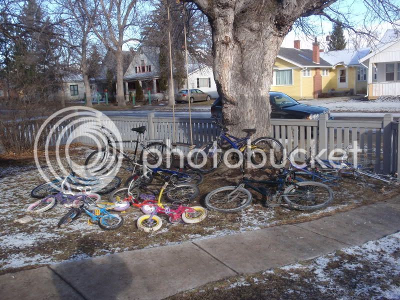 freebikes013.jpg