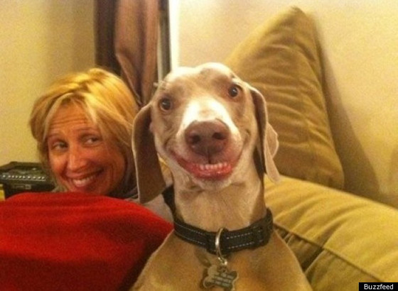 BEST-DOG-SMILE.jpg