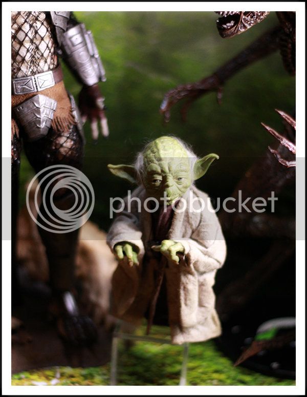 yoda_1-2-13---4A.jpg