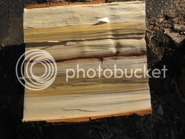 wood016.jpg