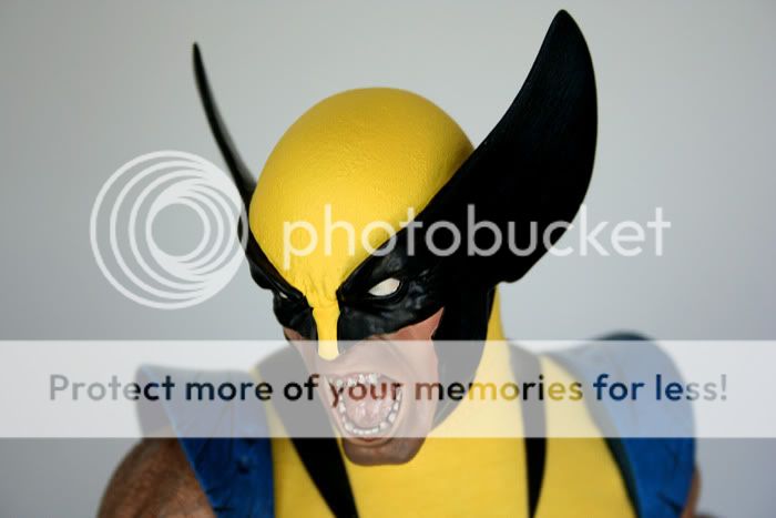 Wolverine9.jpg