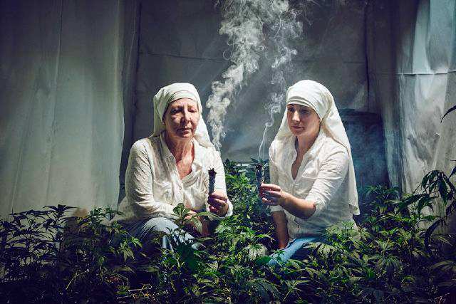 Church-sisters-boost-marijuana-cultivation.jpg