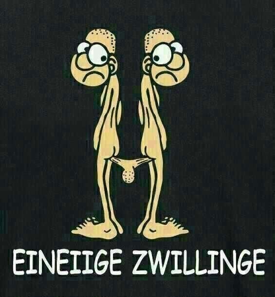 eineiige_zwillinge.jpg