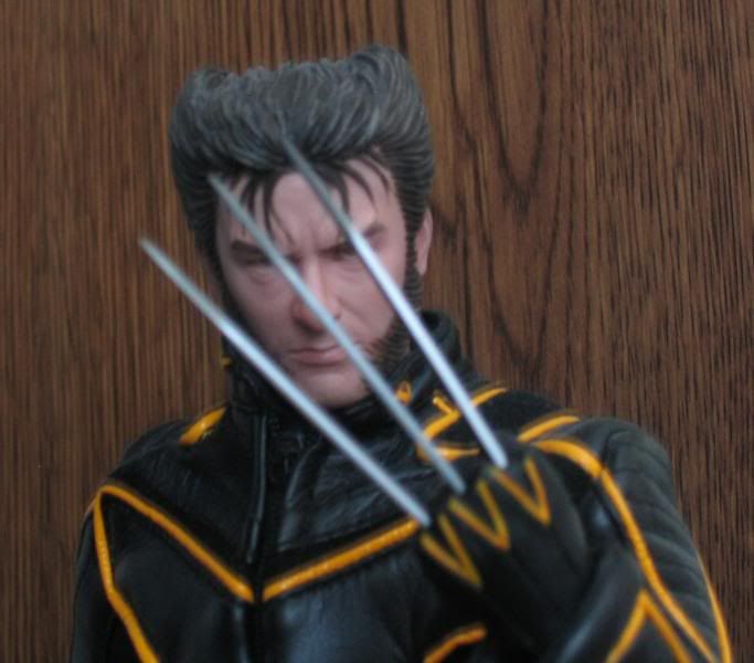 WolverineFinished6.jpg