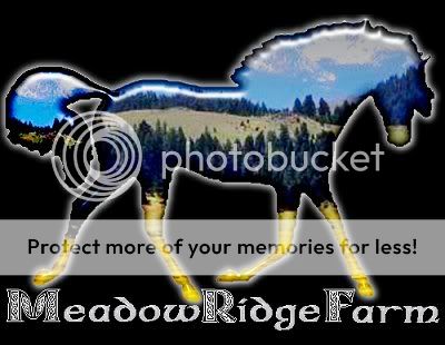 MeadowRidge_farm_logo_2.jpg