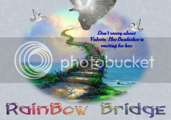 RainbowBridgeValerie.jpg