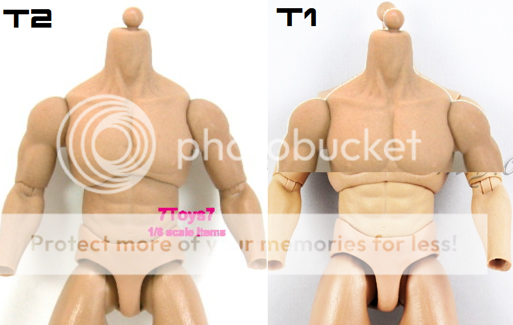 bodycompare2.png