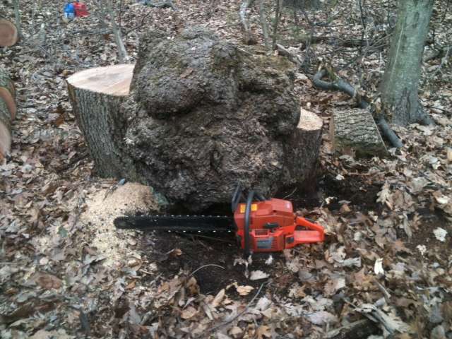 oakburl.jpg