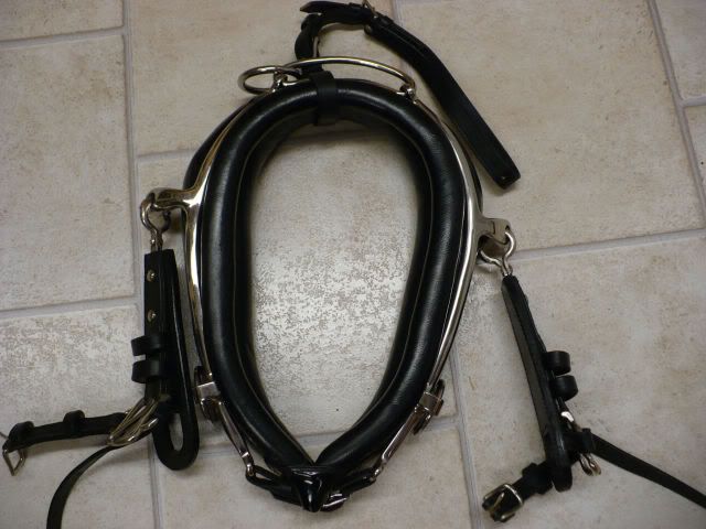 harness2.jpg