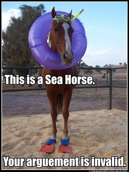 sea-horse-r.jpg