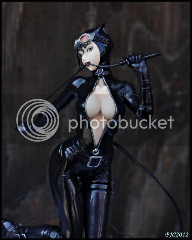 CatwomanBishoujo9.jpg