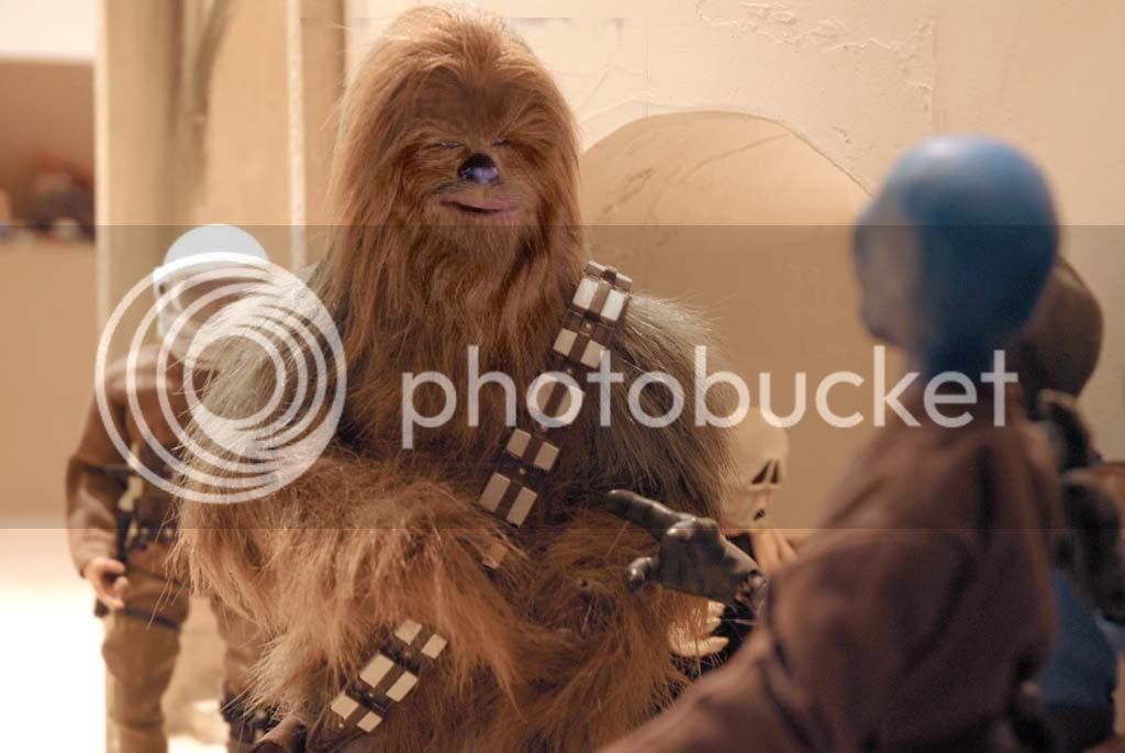 wookiecopy2.jpg