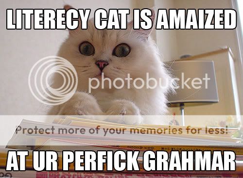 lol-cats_literacy-cat-perfect-grammar.jpg