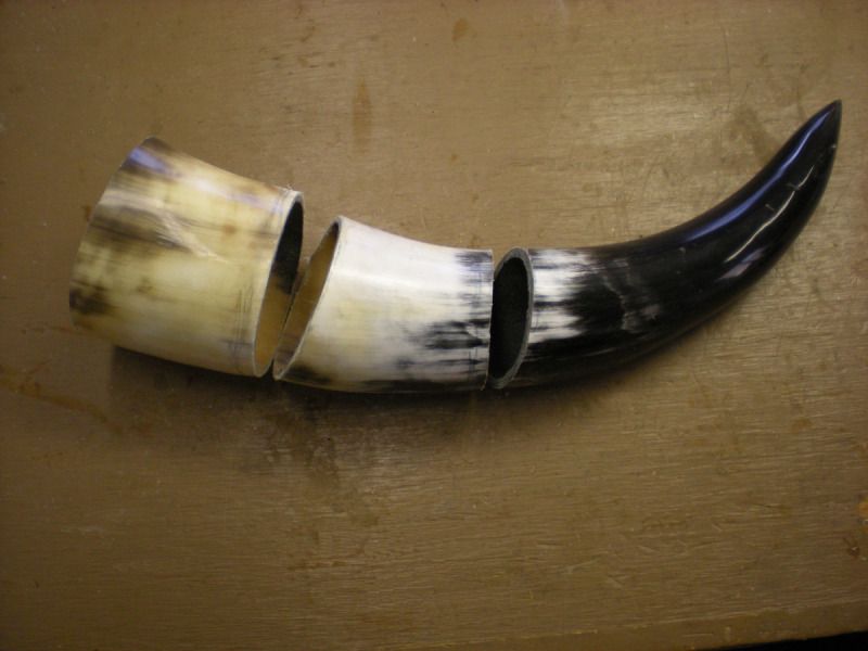 Horn1cut.jpg