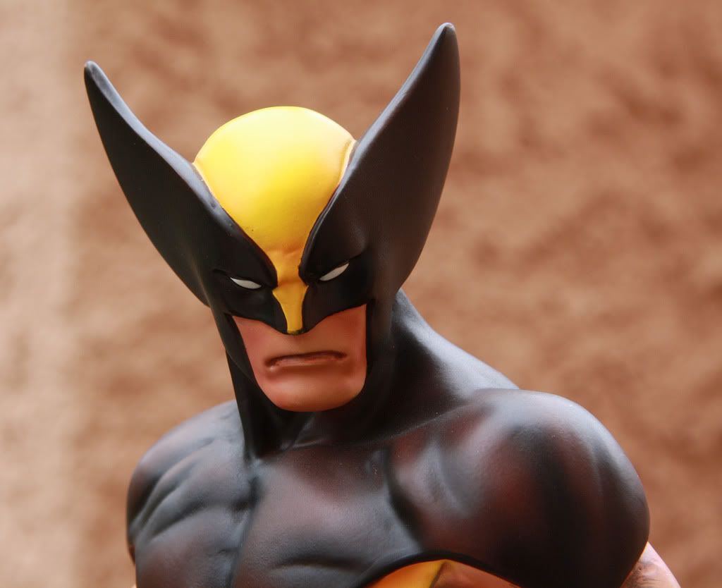 Wolverine4.jpg