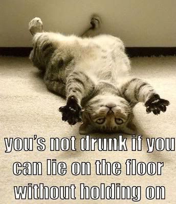 9_funny_drunk_cat.jpg