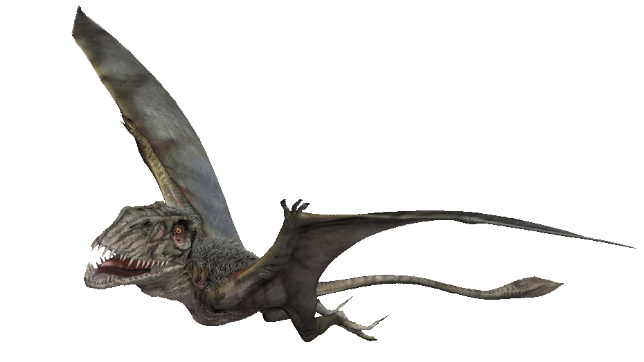 Dimorphodonjw.png