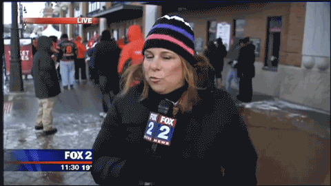 red-wings-fan-falls-behind-reporter-winter-classic_large.gif