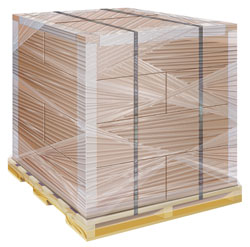 pallet_in_ocean_freight.jpg