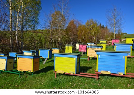 stock-photo-colorful-beehives-in-village-of-banica-in-beskid-niski-poland-101664085.jpg