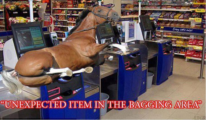unexpected_horse_in_bagging_area_horsemeat_horseburger.jpg